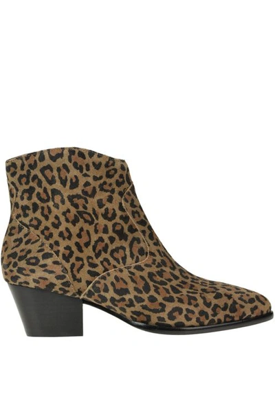 Ash Heidi Bis Ankle Boots In Brown