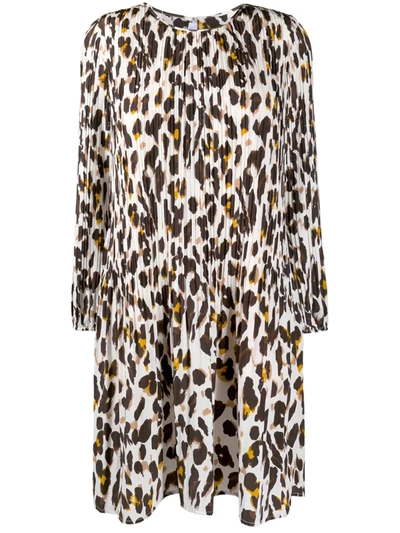 Steffen Schraut Pleated Leopard Print Dress In Neutrals