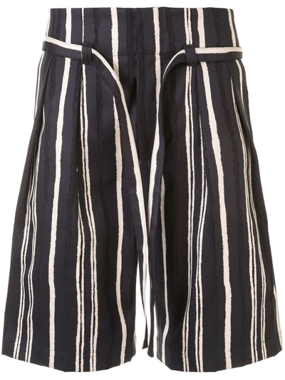 Cerruti 1881 Striped Deck Shorts In Blue
