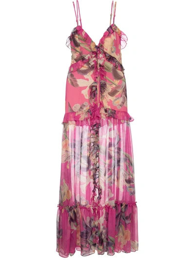 Patbo Grace Print Dress In Pink