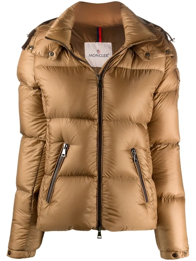 Moncler Padded Down Jacket In Brown