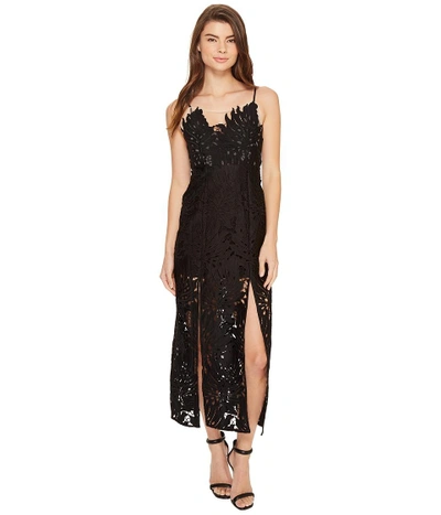 alice mccall dress black Alice Mccall NWT Long Black Lace Dress w/ Semi Sheer Panels US Size EUR 40,  US 8