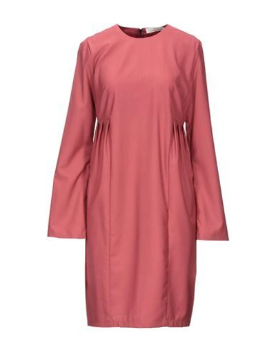 Liviana Conti Short Dresses In Pastel Pink