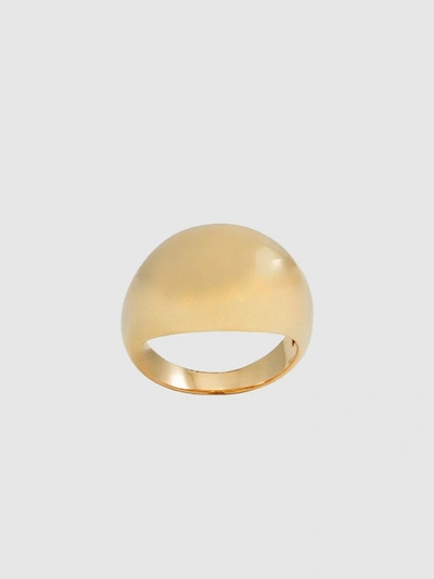 Alex Mika Tubular Ring In Gold