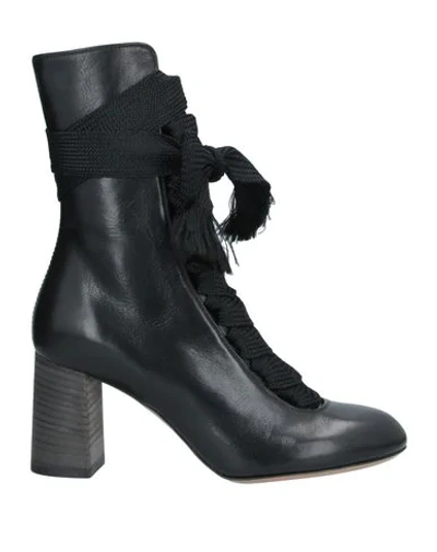 Chloé Ankle Boots In Black