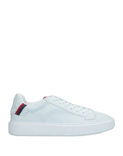 Barracuda Sneakers In White