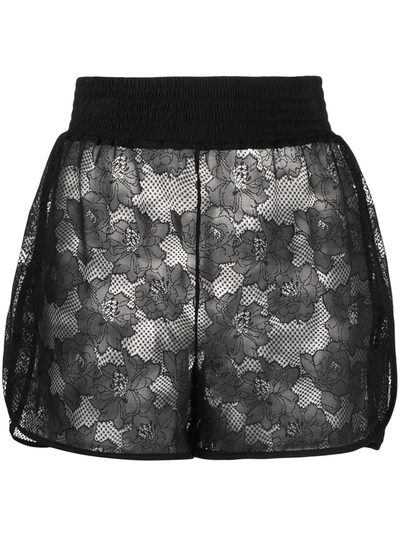 Wolford Lace Embroidered Shorts In Black