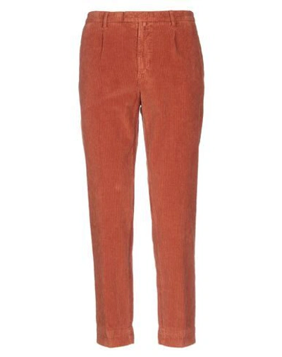 Briglia 1949 1949 Pants In Red
