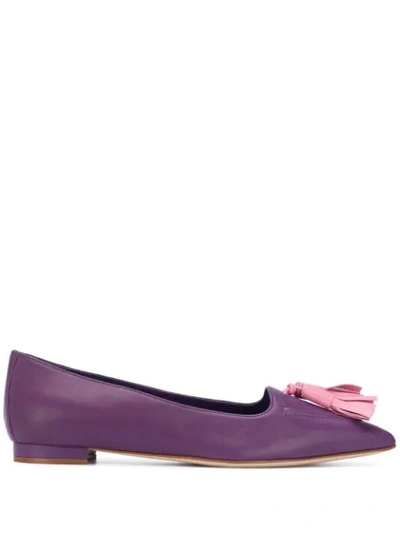 Manolo Blahnik Nabu Ballerina Shoes In Purple