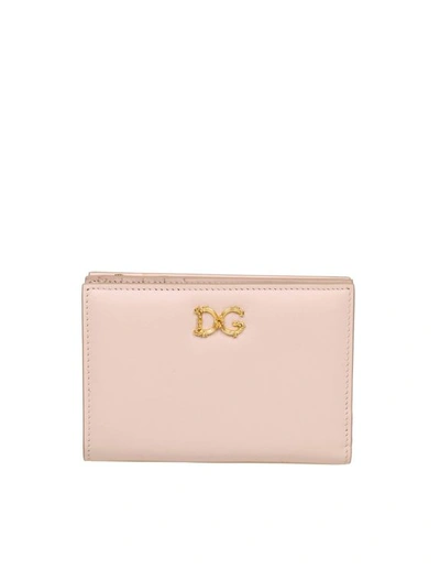 Dolce & Gabbana Small Wallet In Powder Color Leather