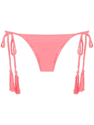 Clube Bossa Margo Treme Bikini Bottom In Pink