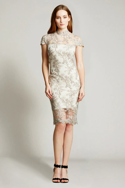 Tadashi Shoji Taida Lace Cocktail Dress