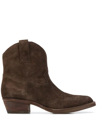Ash Pointed-toe Ankle Boots In Brown