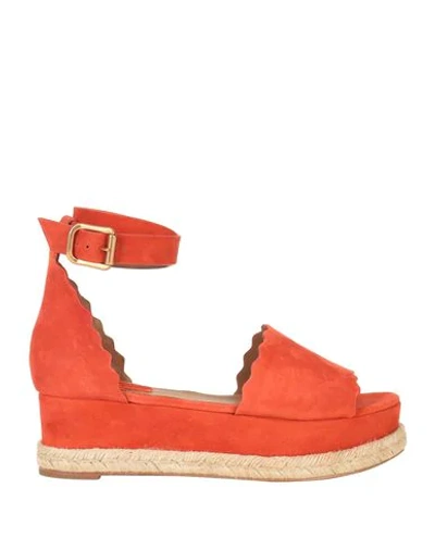 Chloé Sandals In Orange