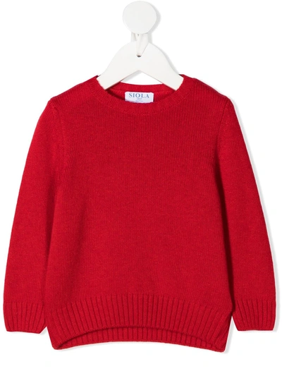 Siola Babies' Round-neck Sweater In Red
