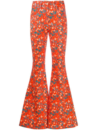 C’est La V.it Floral Print Flared Trousers In Orange