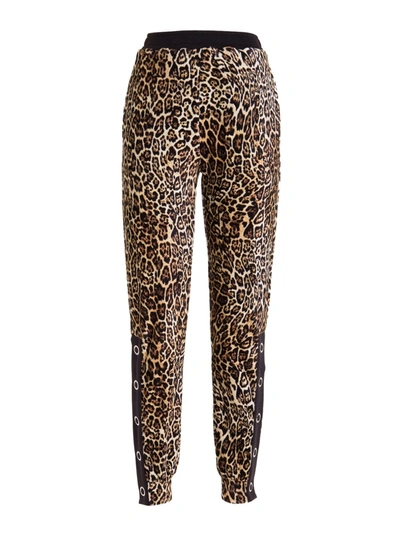Just Cavalli Animalier Jogging Trousers In Brown