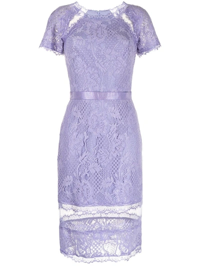 Tadashi Shoji Satomi Lace Dress In Purple