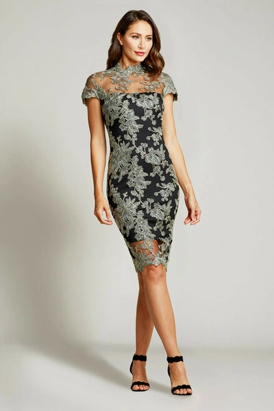 Tadashi Shoji Taida Lace Cocktail Dress In Smoke Pearl/black