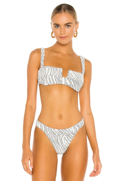Devon Windsor Hazel Bikini Top In Textured Zebra