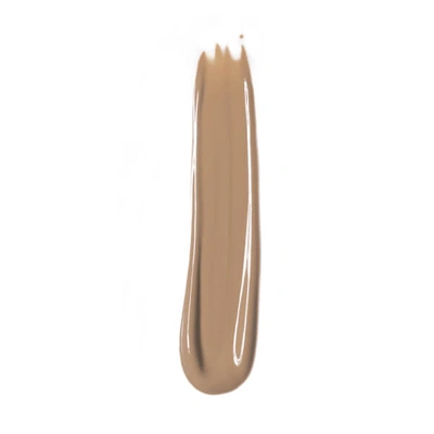 Chantecaille Le Camouflage Stylo Concealer - #5