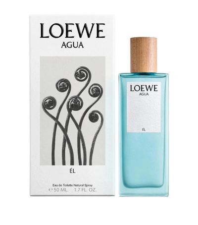 Loewe Rf Agua El Edt 50ml 20 In Multi