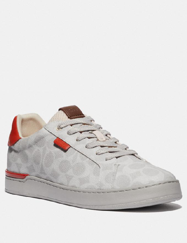 lowline low top sneaker