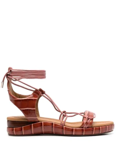 Chloé Wraparound Crocodile-effect Leather Sandals In Brown