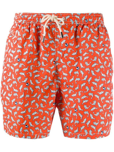 Mc2 Saint Barth Shark Print Swim Shorts In Orange