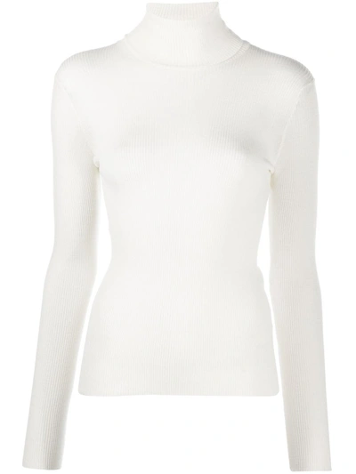 Nuur Roll-neck Fitted Jumper In Neutrals