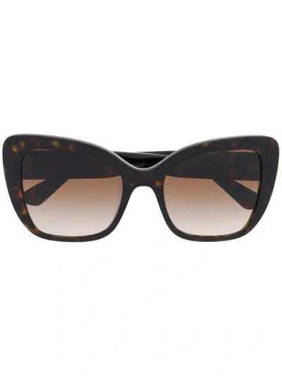Dolce & Gabbana Tortoiseshell Oversized Sunglasses In Brown