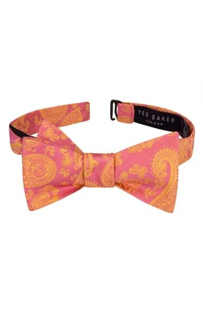 Ted Baker Preakness Paisley Silk Bow Tie In Pink