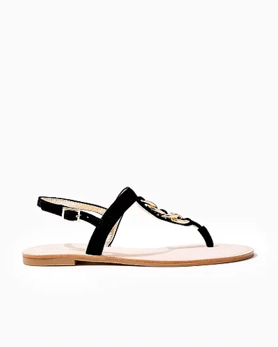 Lilly Pulitzer Largo T-strap Suede Sandal In Onyx