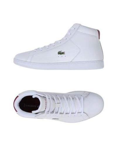 Lacoste Sneakers In White