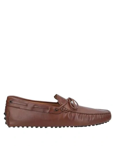 Tod's Loafers In Brown