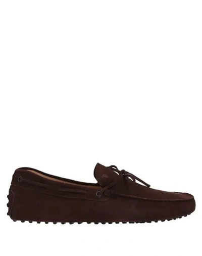 Tod's Loafers In Dark Brown