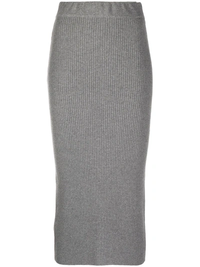 The Andamane Eulalia Rib Knit Midi Skirt In Grey