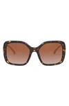 Versace 53mm Polarized Square Sunglasses In Havana/ Brown Gradient