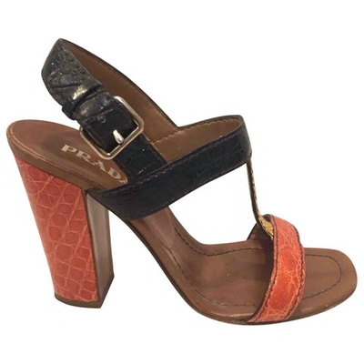 Pre-owned Prada Leather Sandal In Multicolour