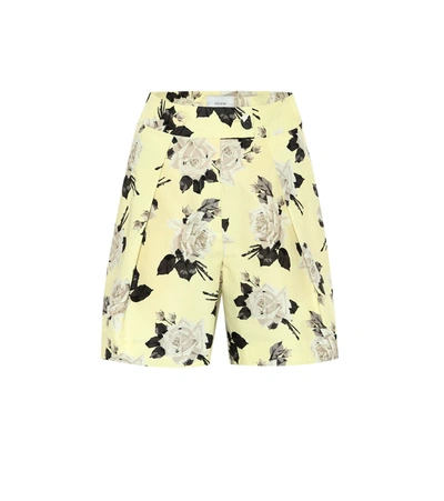 Erdem Howard Floral-print Cotton-faille Shorts In Light Yellow
