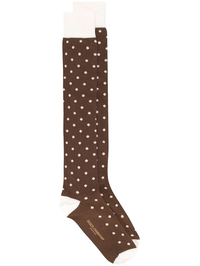 Dolce & Gabbana Stretch Cotton Jacquard Socks With Small Polka-dots In Brown