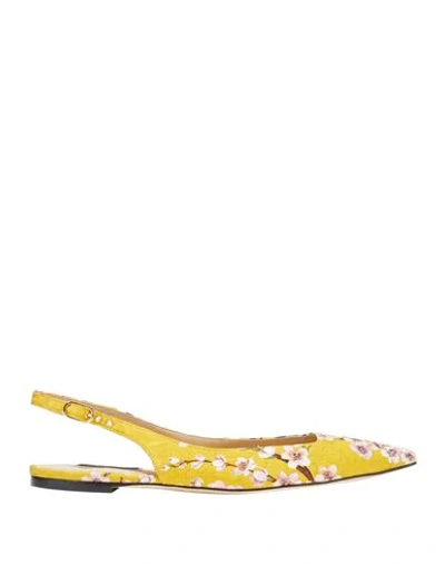 Dolce & Gabbana Ballet Flats In Yellow