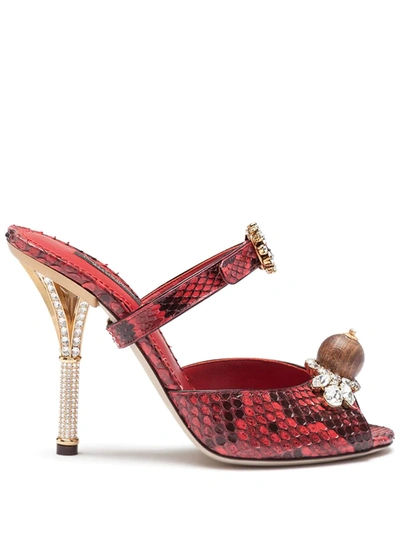 Dolce & Gabbana Mules In Python And Jewel Embroidery In Red/black