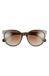 Kate Spade Melanies 52mm Polarized Round Sunglasses In Brown Havana/ Brown