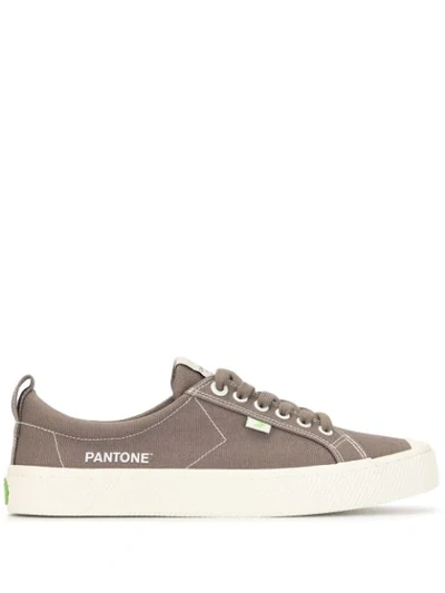 Cariuma X Pantone Bunge Cord Low-top Sneakers In Grey