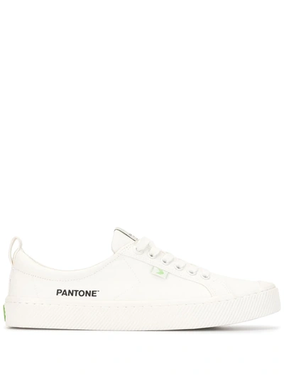 Cariuma X Pantone Oca Canvas Low-top Sneakers In White