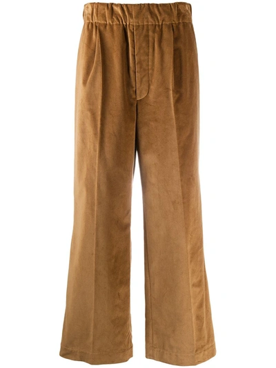 Jejia High Waist Pants Velvet Pence In Brown