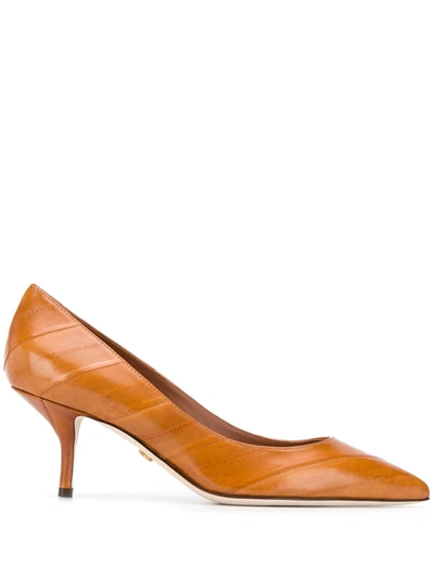 Dolce & Gabbana Pointed-toe Leather Pumps In Brown