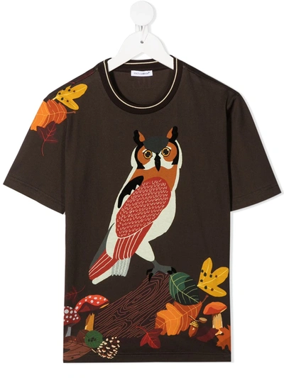 Dolce & Gabbana Kids' Owl Print Cotton Jersey T-shirt In Marrone