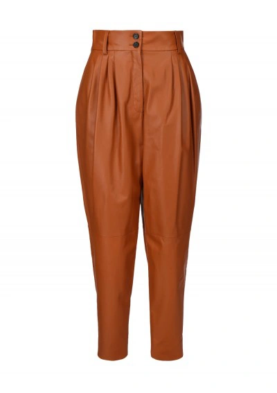 Dolce & Gabbana Leather Pants In Tabacco